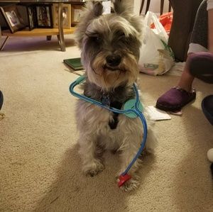 Meet your Posher, Ariana